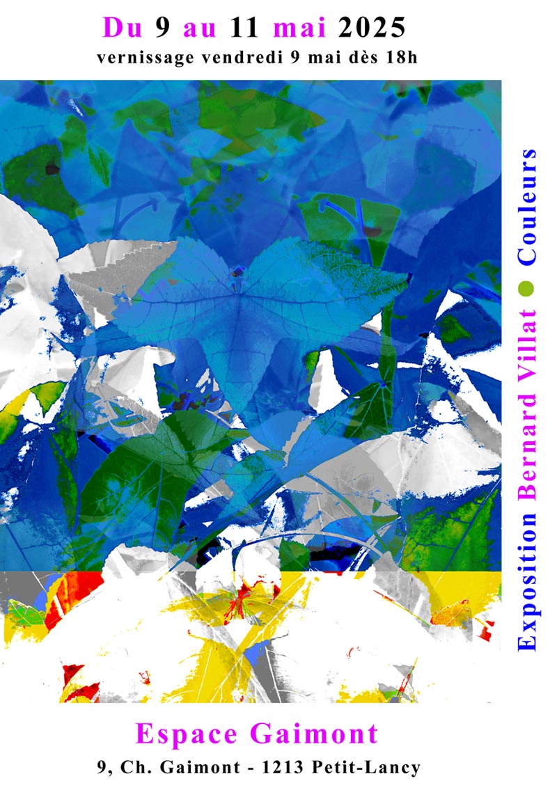 Exposition «Couleurs», Bernard Villat